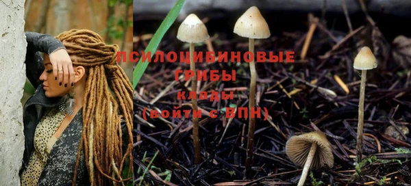 прущая мука Покачи