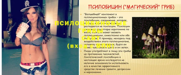 таблы Покровск