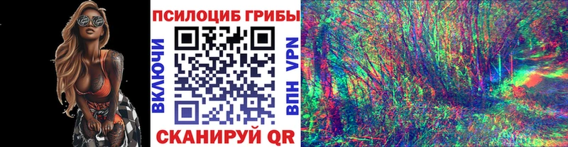 Купить где  Людиново  Галлюциногенные грибы Psilocybine cubensis 